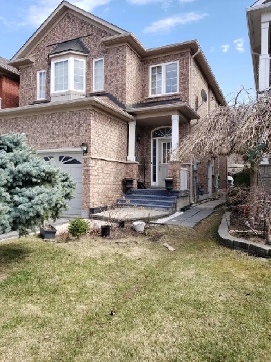 Basement - Two rooms, big hall, Kitchen, one bath & one parking. Image# 4