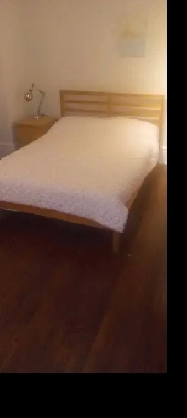 Large furnished room downtown - female only Image# 7