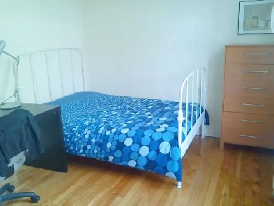 Nice furnished room, all included, guy roommates, Vendome, Jan 1 Image# 5