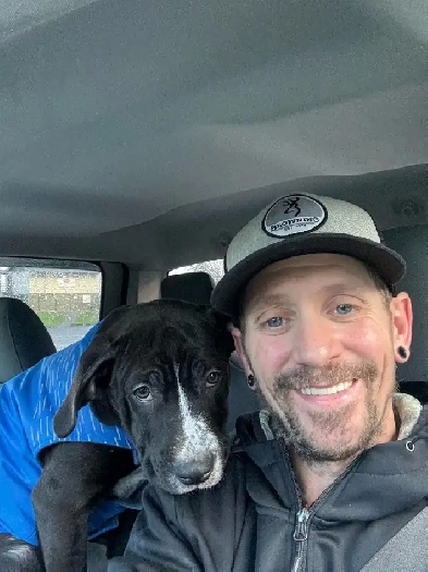 looking for a home Image# 1