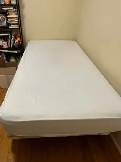 Weston and Eglinton | Asian female only | January 1st Image# 1