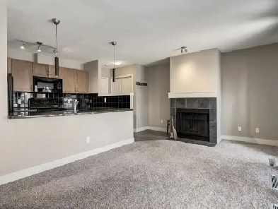 ONE BEDROOM CONDO for RENT Image# 8