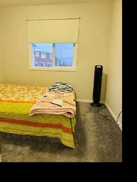 room for rent Image# 8