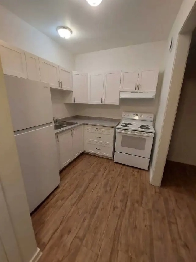 2 Bed 1 Bath Apartment for Rent Image# 6