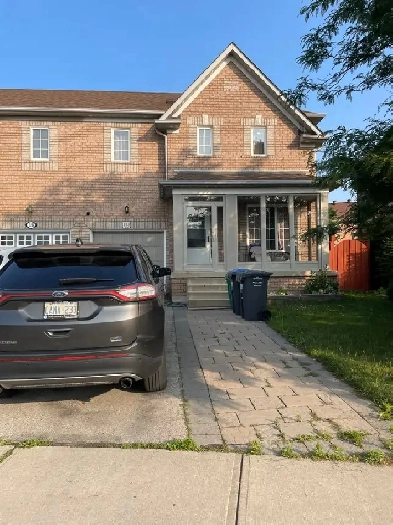 3 1 bedroom house   basement for rent Image# 9