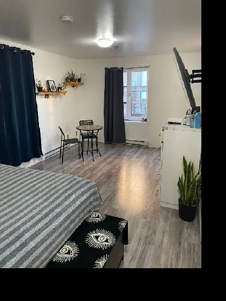 2 ½ Renovated Furnished Metro Papineau Montreal Apartment Image# 7