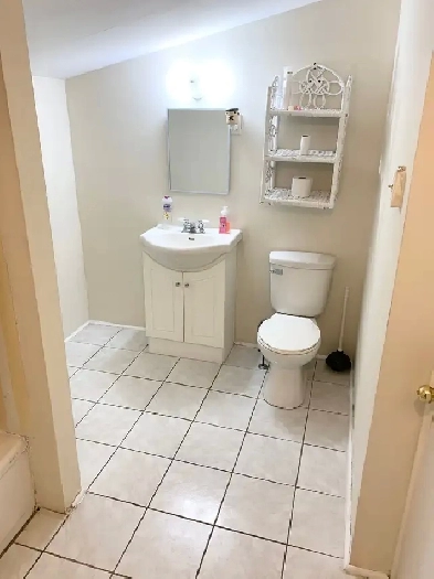 Room For Rent (Downtown Apartment) Dog & Cat Friendly - Open Now Image# 9