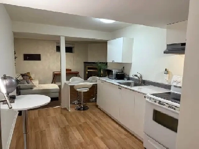 One Bedroom Furnished Apartment Image# 4