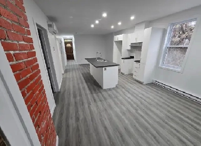 5 1/2 appartement à louer au Plateau Montreal Image# 4