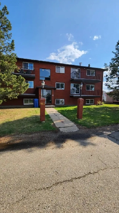 Large 1 Bed / 1 Bath Available March 1st! Gas and Water Included Image# 8