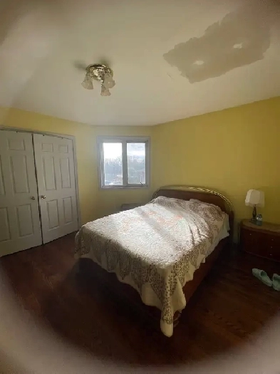 Room available on second floor in spacious home at Yonge & Finch Image# 5