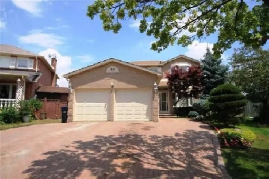 2 Bedroom   Den Basement for Rent – Available Jan 1, 2026 Image# 3