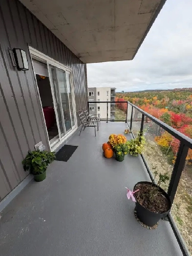 BEDFORD WEST SHORT TERM  RENEWAL  OPTIONS Image# 1