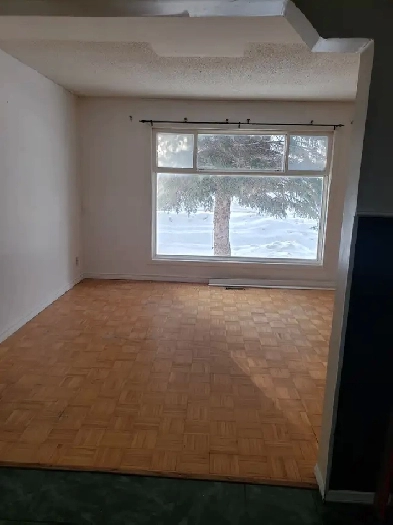 3 Bedroom house for rent in Maples Image# 3