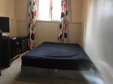 Room for Rent near Southgate Area Image# 7