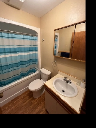 1-Bedroom Apartment Image# 3