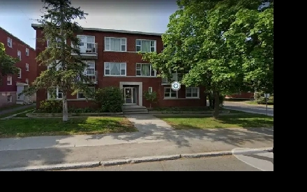 Sunny Large Quiet Ground Floor 1 Bed corner unit Image# 10