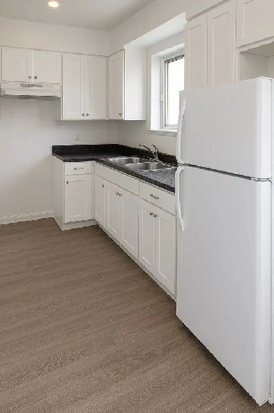 Beau GRAND 4½ LIBRE/CDN/ CUISINE RÉNOVÉE Image# 5