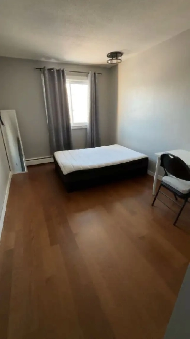 Looking for Roommate Image# 1