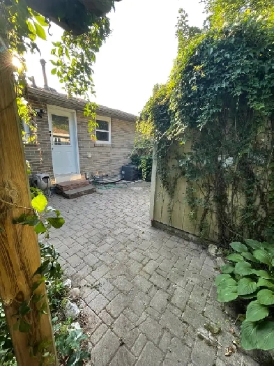 Basement Apartment - One  Bedroom Image# 9