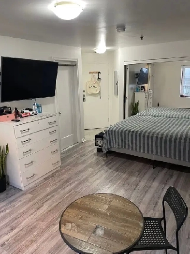 2 1/2 Rénové Meublé Metro Papineau Montréal Appartement Image# 5