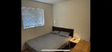 Furnished room for Rent: clean, quiet, upper floor Image# 1