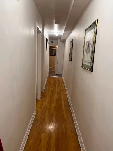 Beautiful 4.5 (2BR)  appartment close to Ahuntsic Image# 4