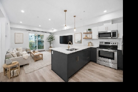 Luxury 2 Bedroom Apartment! Fitness Centre Included! Image# 2