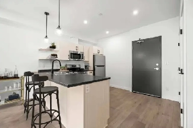 SPACIOUS 1 Bedroom Apartment! Available For February 1st! Image# 4