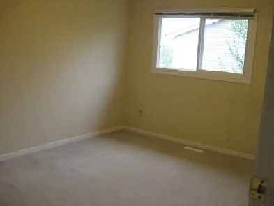 Sharing room for (male) rent in Etobicoke near Humber College Image# 3