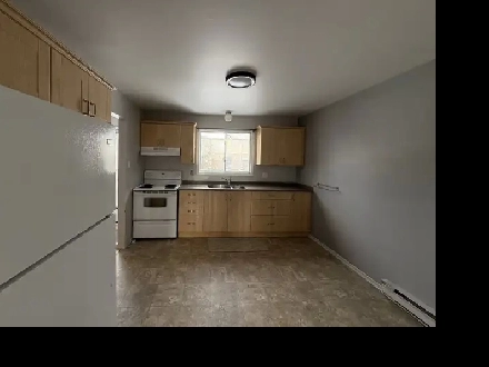 Newly Renovated 2 Bedroom Apartment – Crystal Drive