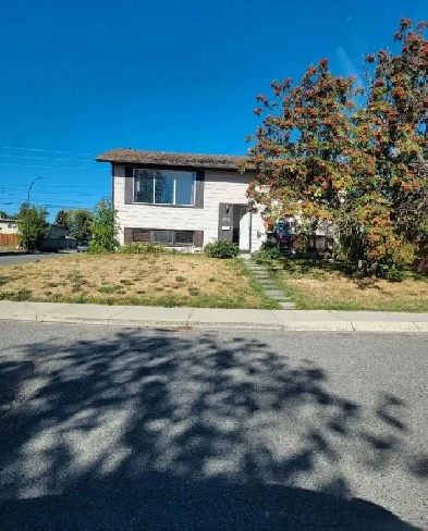 Two Bedrooms House for rent Image# 1