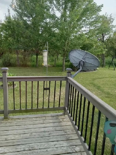 House for sale with deers in backyard