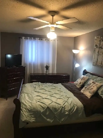 Beautiful large Room for rent in upper Level of a bungalow Image# 1