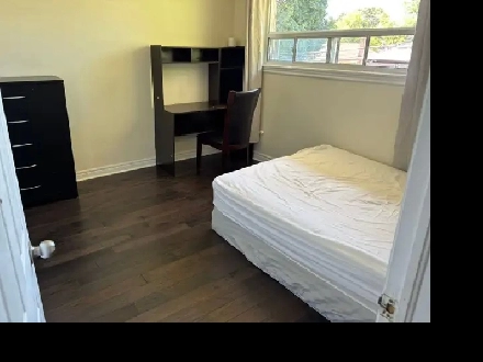 Bright, Spacious Main Floor Room near Centennial Image# 1