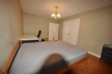 room for rent Image# 1