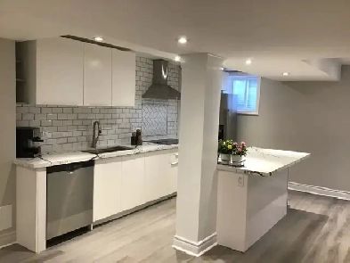 Luxury Walkup Basement 2 years old Yonge St and Gamble Rd Image# 1