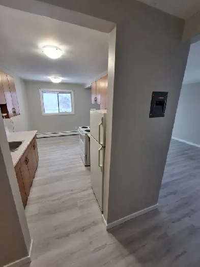 NEWLY RENOVATED, BRIGHT & SPACIOUS 2-bedroom, 1 bath suite Image# 1