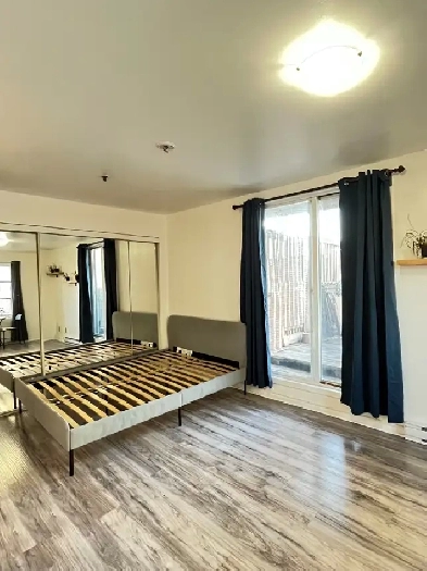 Downtown Metro Papineau renovated furnished 2 1/2  with terrace Image# 1