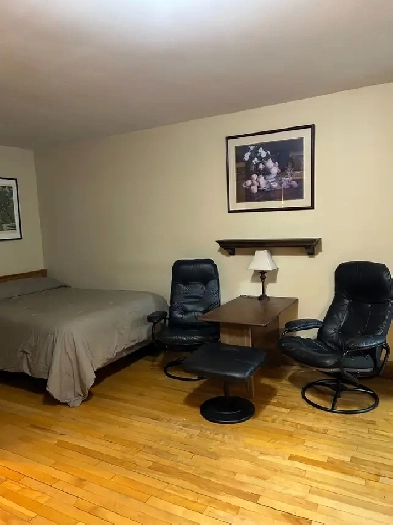 Plateau Mont Royal - Joli studio - $1100 /mois Image# 1