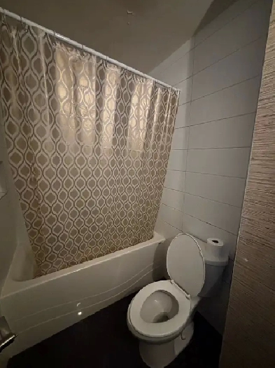 one bedroom available Image# 3