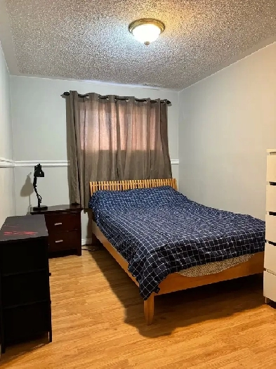 Furnished Room for Rent in South Edm Millwoods (utilities incl Image# 1