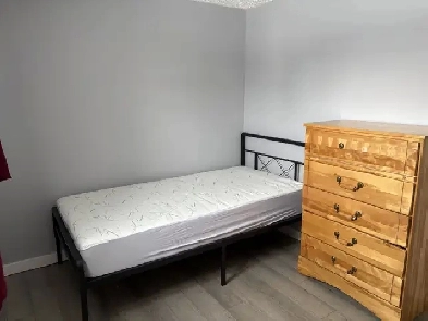 Room for Rent $700 Image# 1