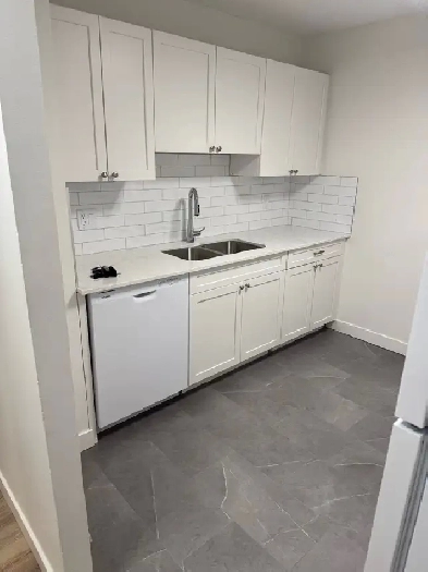 Fully renovated unit for rent in Calgary (2bed 1 bath) Image# 1