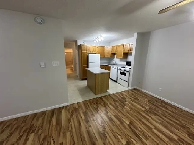 Two Bedroom Basment Apartment  Close To Downtown