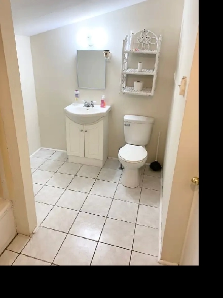 Room For Rent (Downtown Apartment) Dog & Cat Friendly - Open Now Image# 1