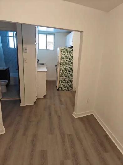 petit 4 1/2 A Louer dans Rosemont Image# 1