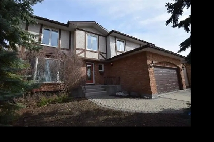 one bedroom for rent on Kirkbridge Dr, close to U of M Image# 1