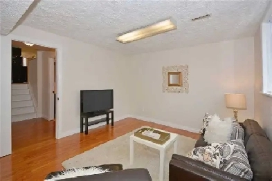 Basement for Rent in Scarborough Image# 1