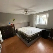 Private Large Bedroom - Move in Ready Image# 1